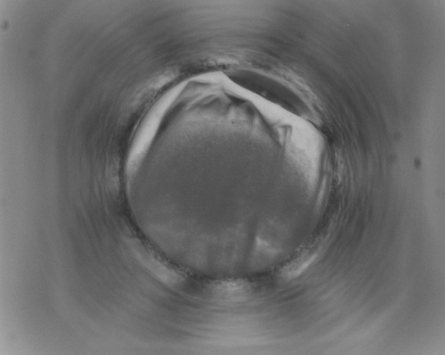 X0000076030402200610152052