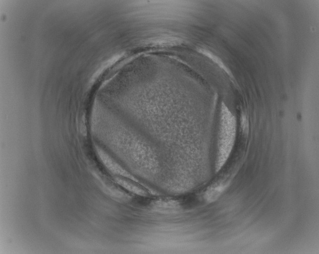 X0000076030403200610152052