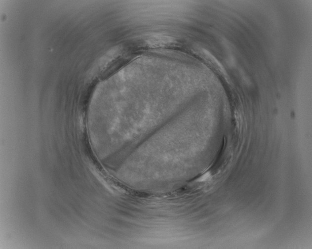 X0000076030405200610152052