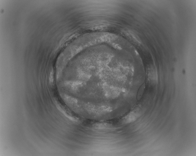 X0000076030408200610152052