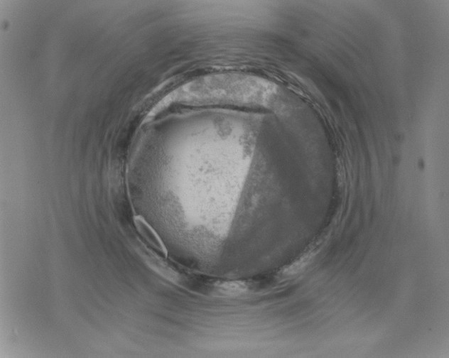 X0000076030409200610152052