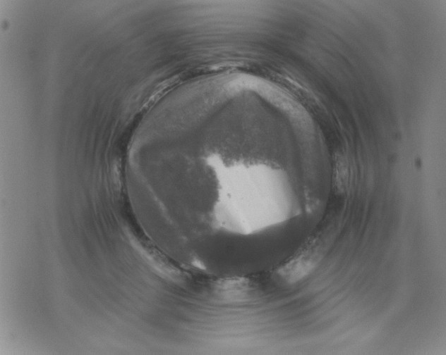 X0000076030410200610152052