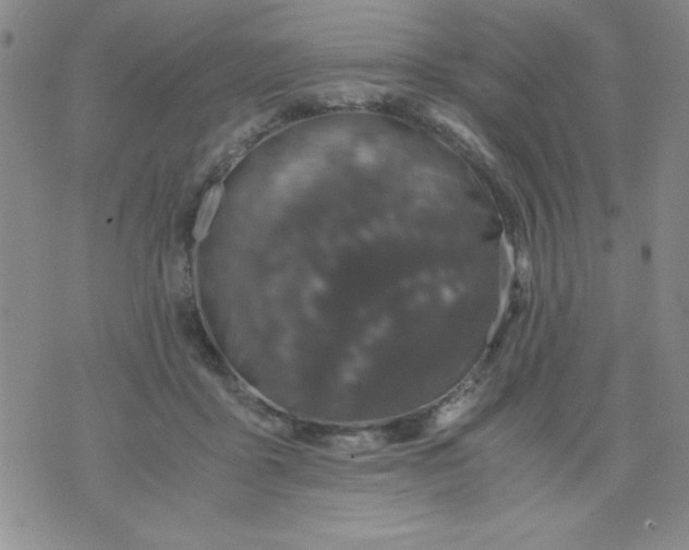 X0000076030411200610152052