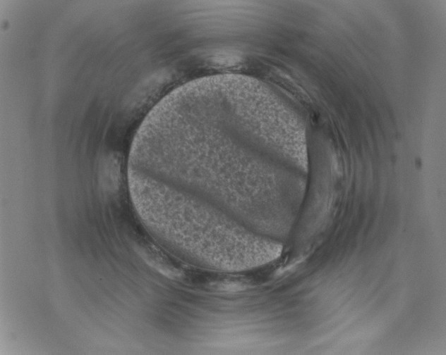 X0000076030412200610152052