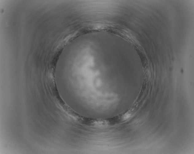 X0000076030415200610152052