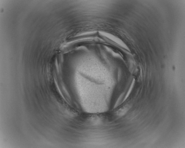 X0000076030416200610152052