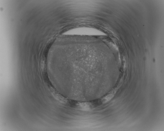 X0000076030417200610152052