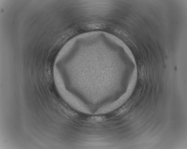 X0000076030418200610152052