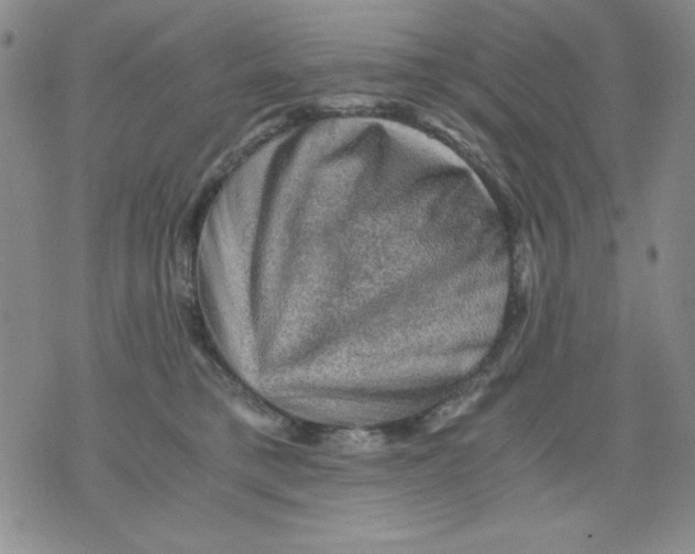 X0000076030421200610152052