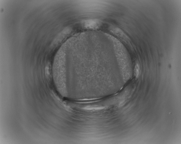 X0000076030424200610152052