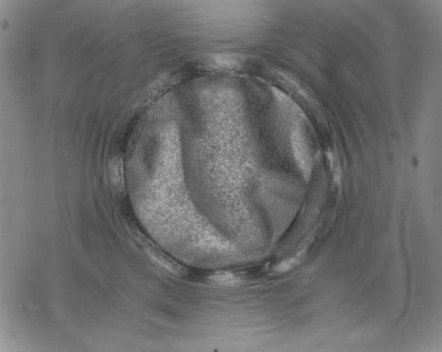 X0000076030425200610152052