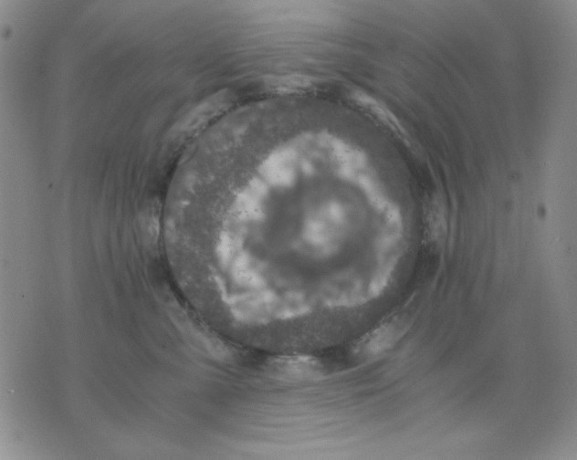 X0000076030427200610152052