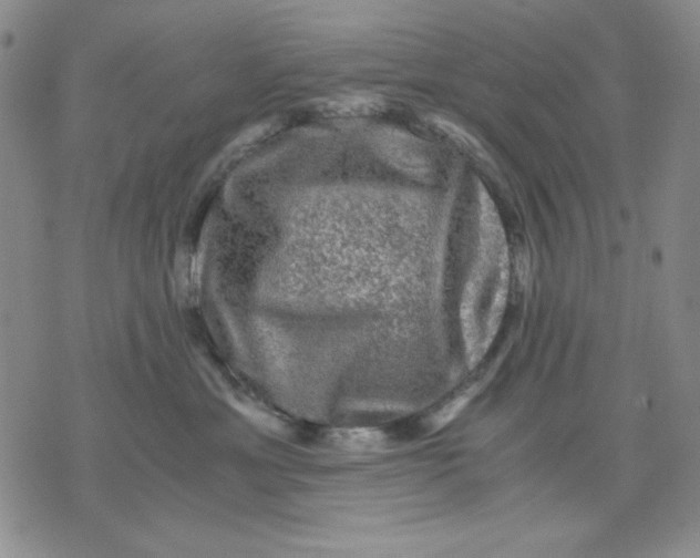 X0000076030429200610152052