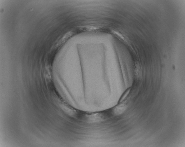 X0000076030430200610152052