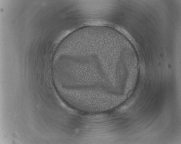 X0000076030433200610152051