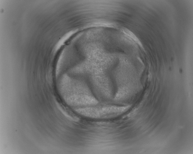 X0000076030436200610152051