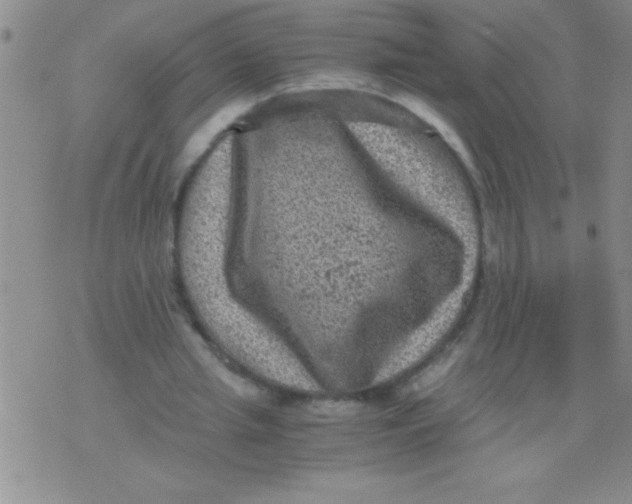 X0000076030437200610152051