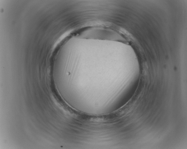 X0000076030440200610152051