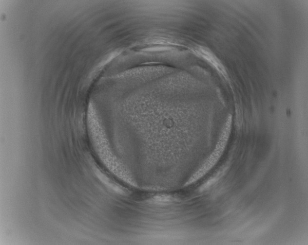 X0000076030441200610152051