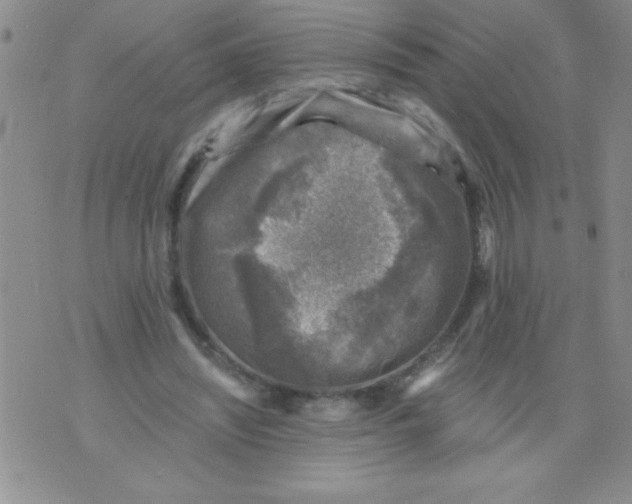 X0000076030444200610152051