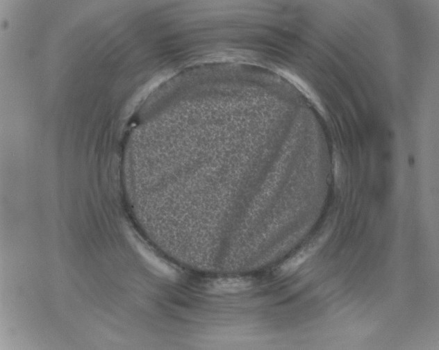 X0000076030445200610152051