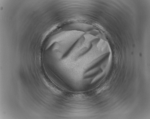 X0000076030446200610152051