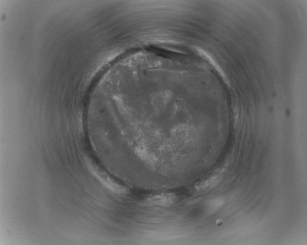 X0000076030447200610152051