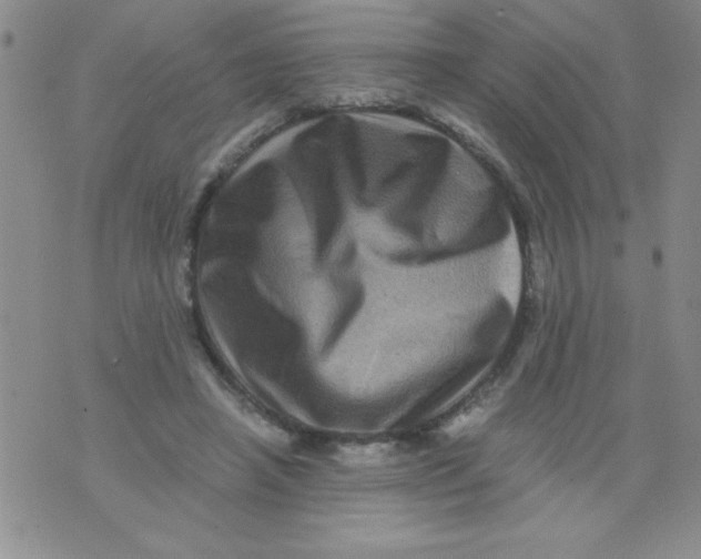 X0000076030450200610152051