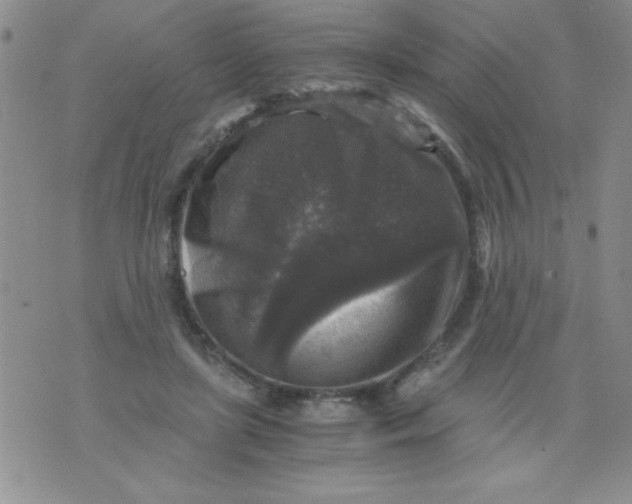 X0000076030451200610152051