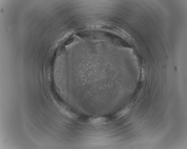 X0000076030452200610152051