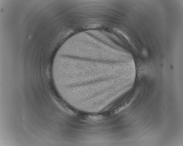 X0000076030455200610152051