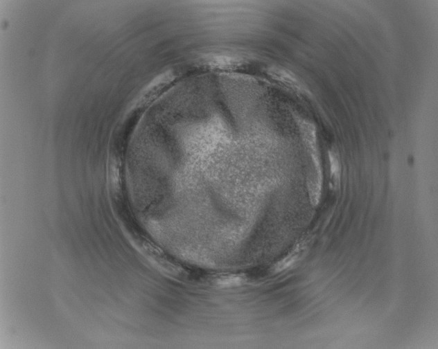 X0000076030456200610152051