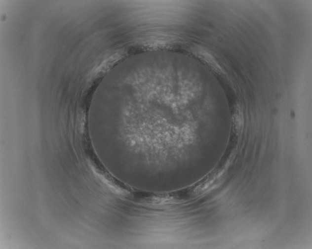 X0000076030458200610152051