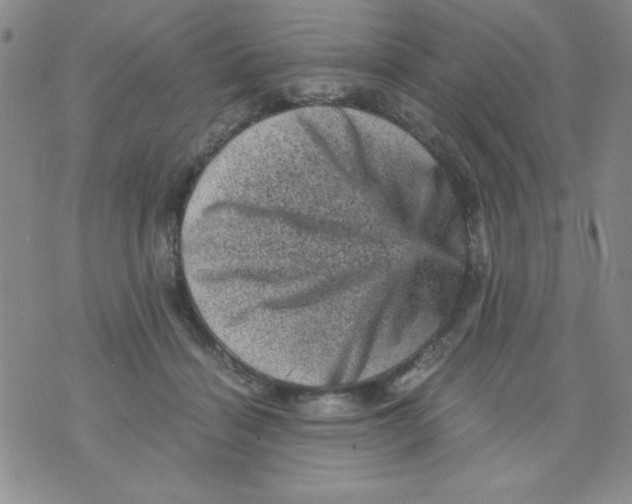 X0000076030460200610152051