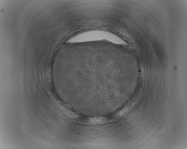 X0000076030461200610152051