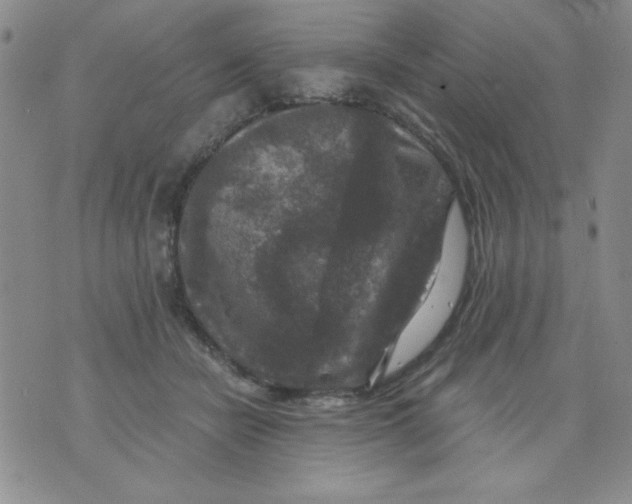 X0000076030462200610152051