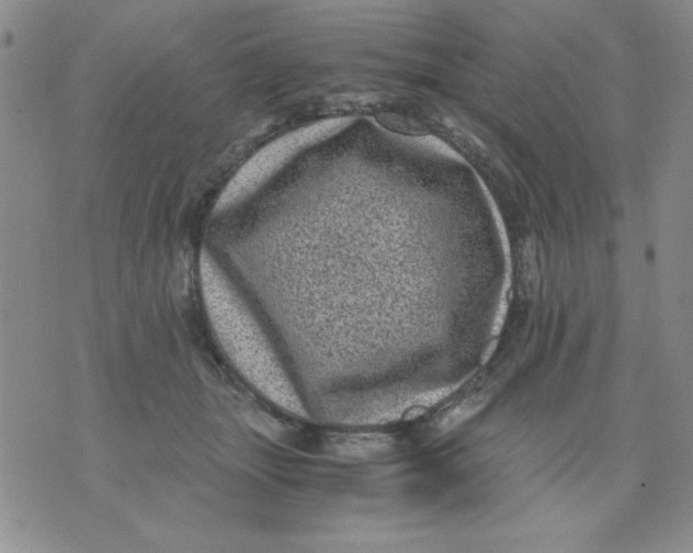 X0000076030463200610152051