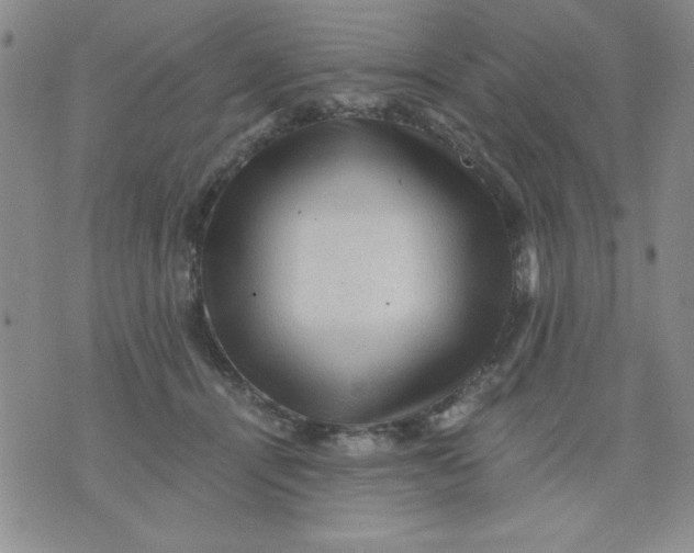 X0000076030464200610152051