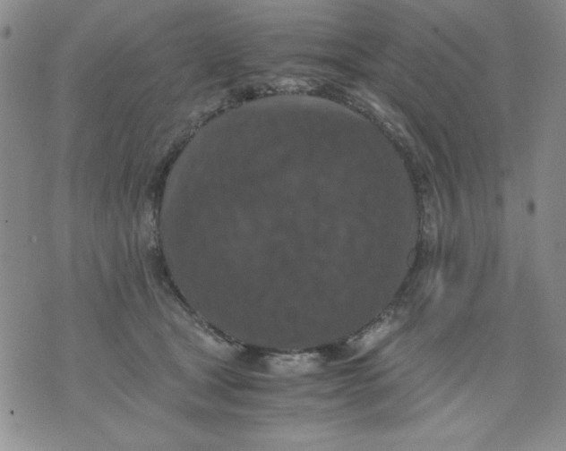 X0000076030465200610152051