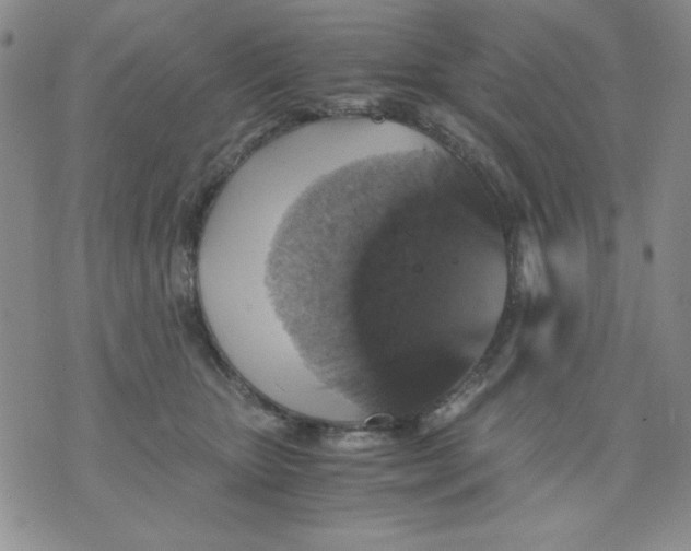 X0000076030467200610152051