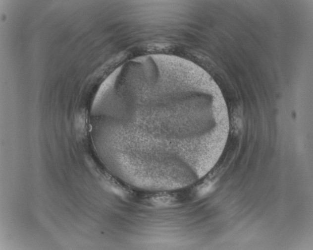 X0000076030468200610152051