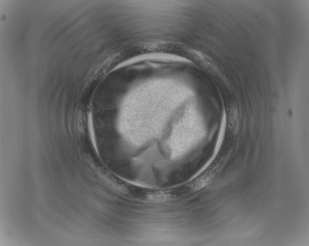 X0000076030470200610152052