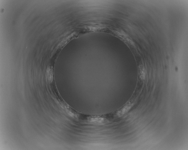 X0000076030471200610152052