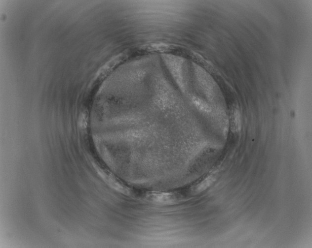 X0000076030472200610152052