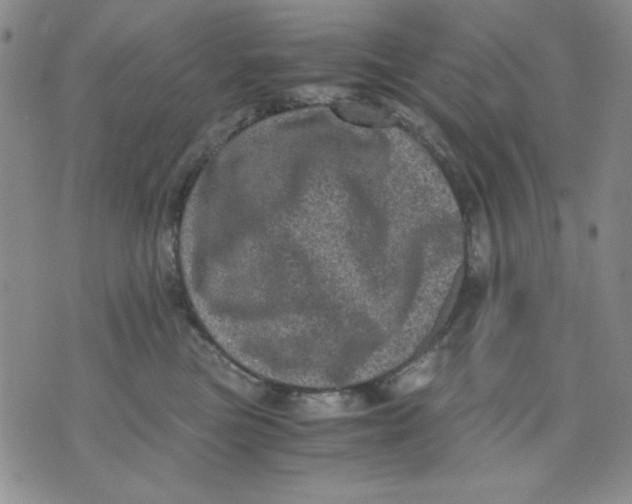 X0000076030473200610152052