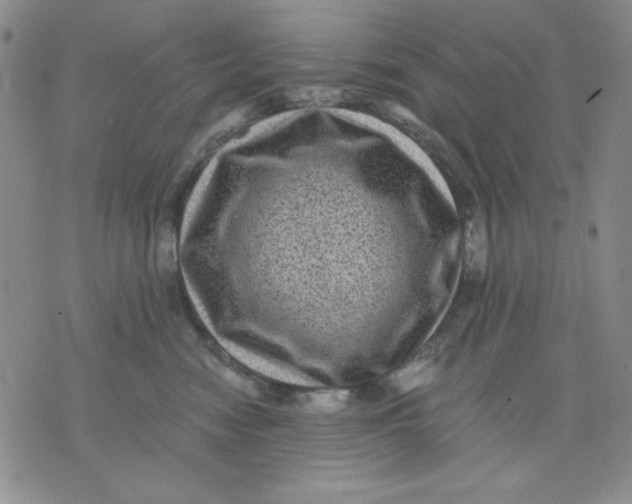 X0000076030474200610152052