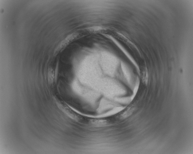 X0000076030476200610152052