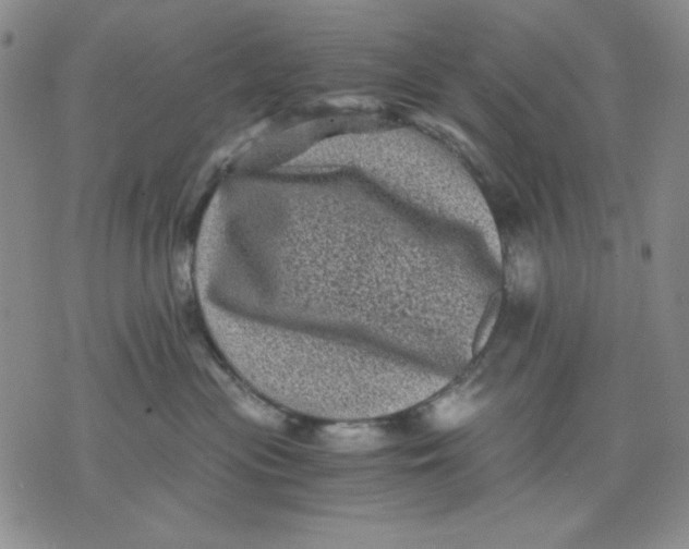 X0000076030477200610152052