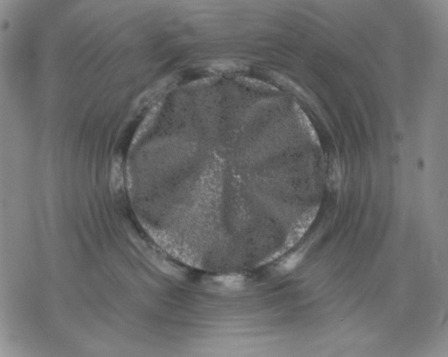 X0000076030478200610152052