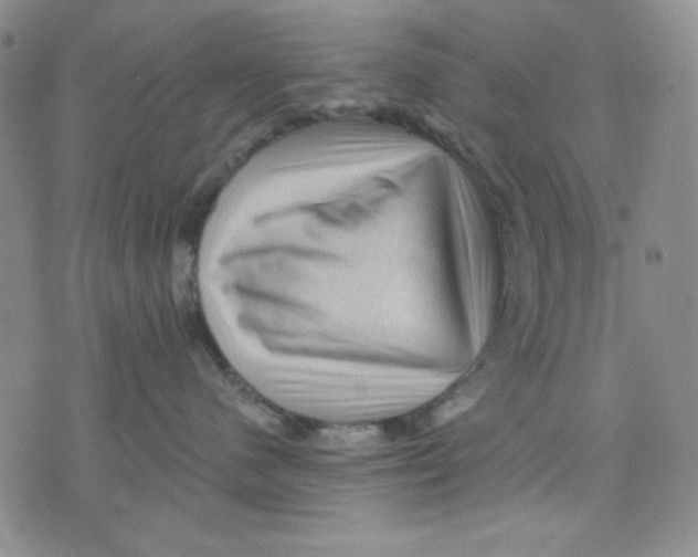 X0000076030480200610152052